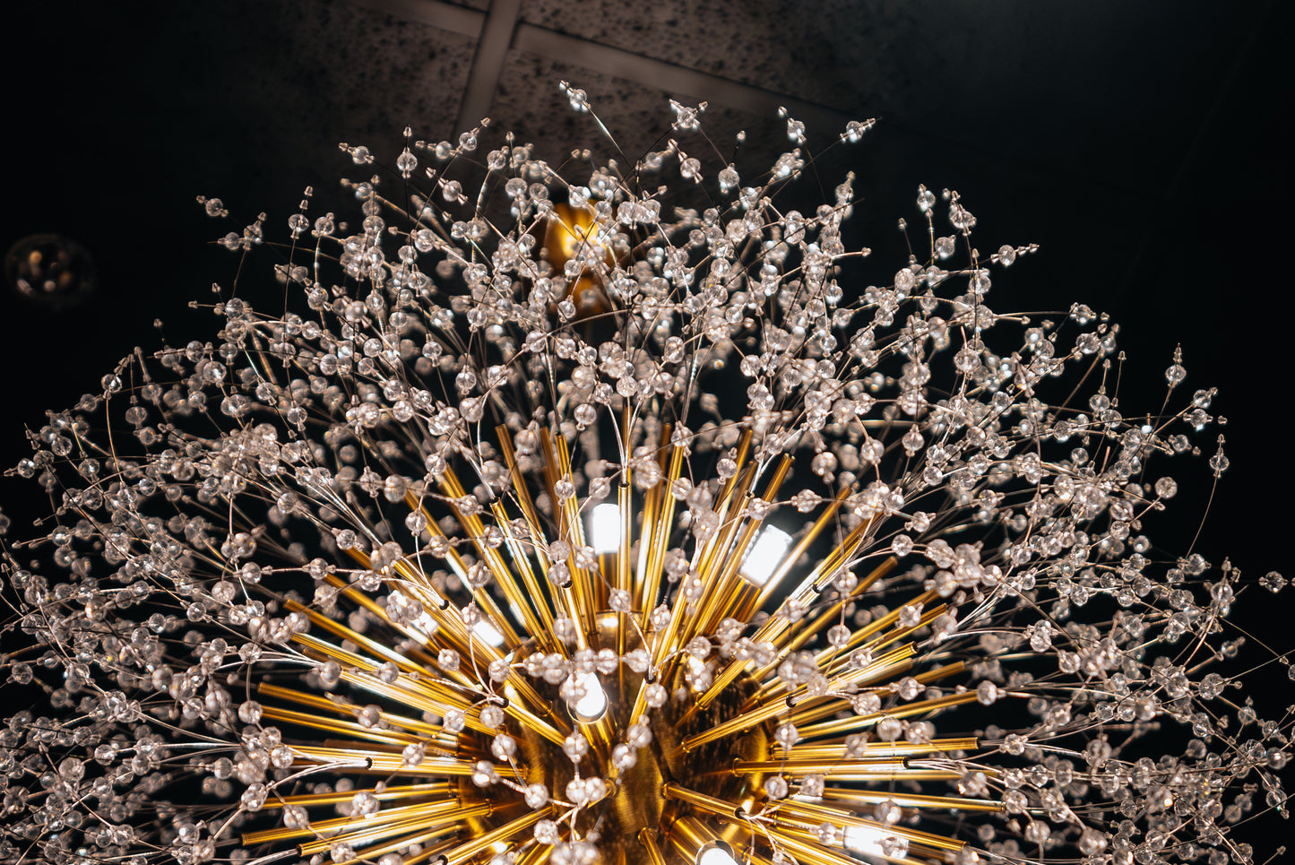 16-Light Gold Dandelion Firework Chandelier